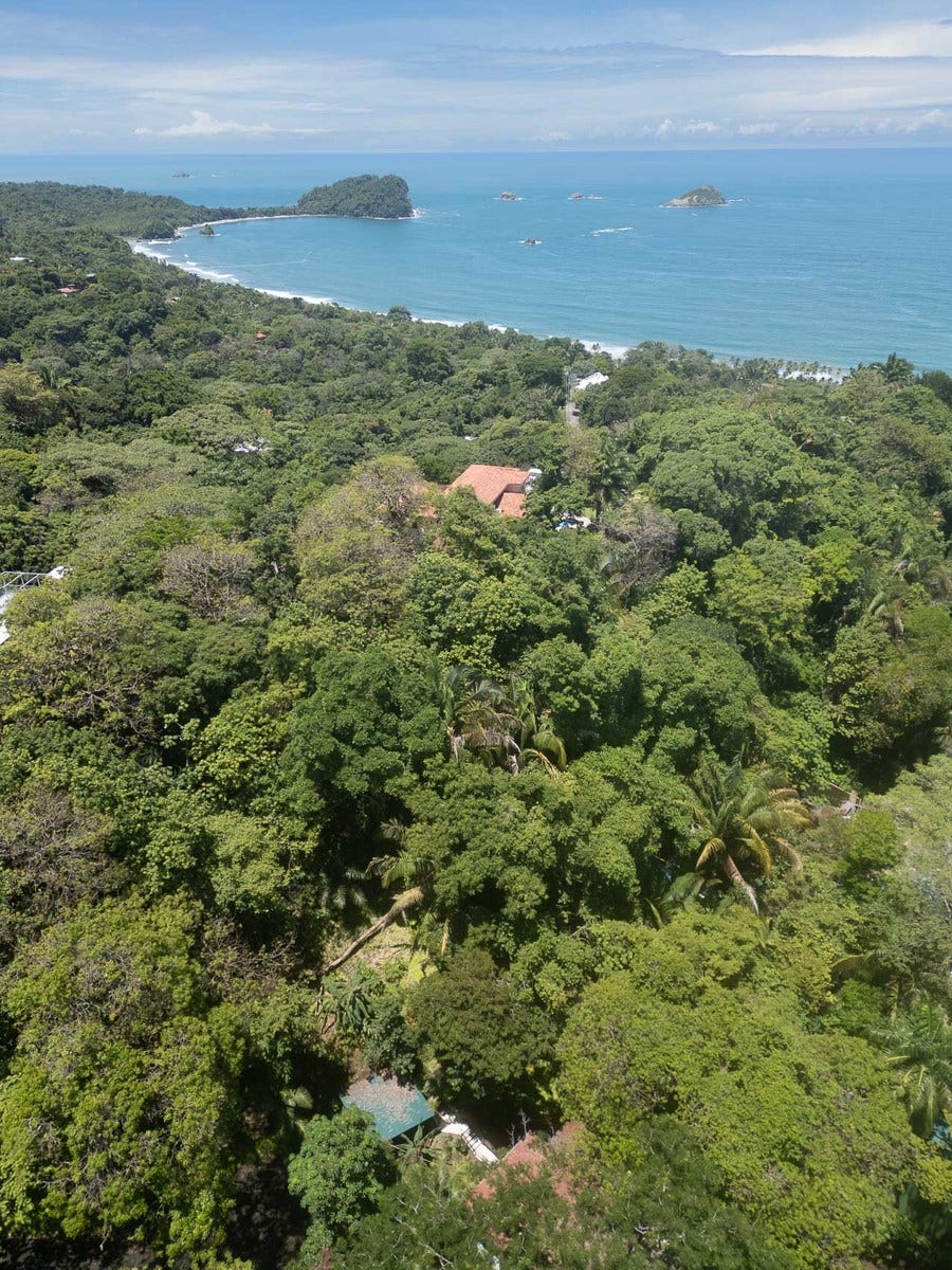 Ocean View Estate Property — photo 17 of 19