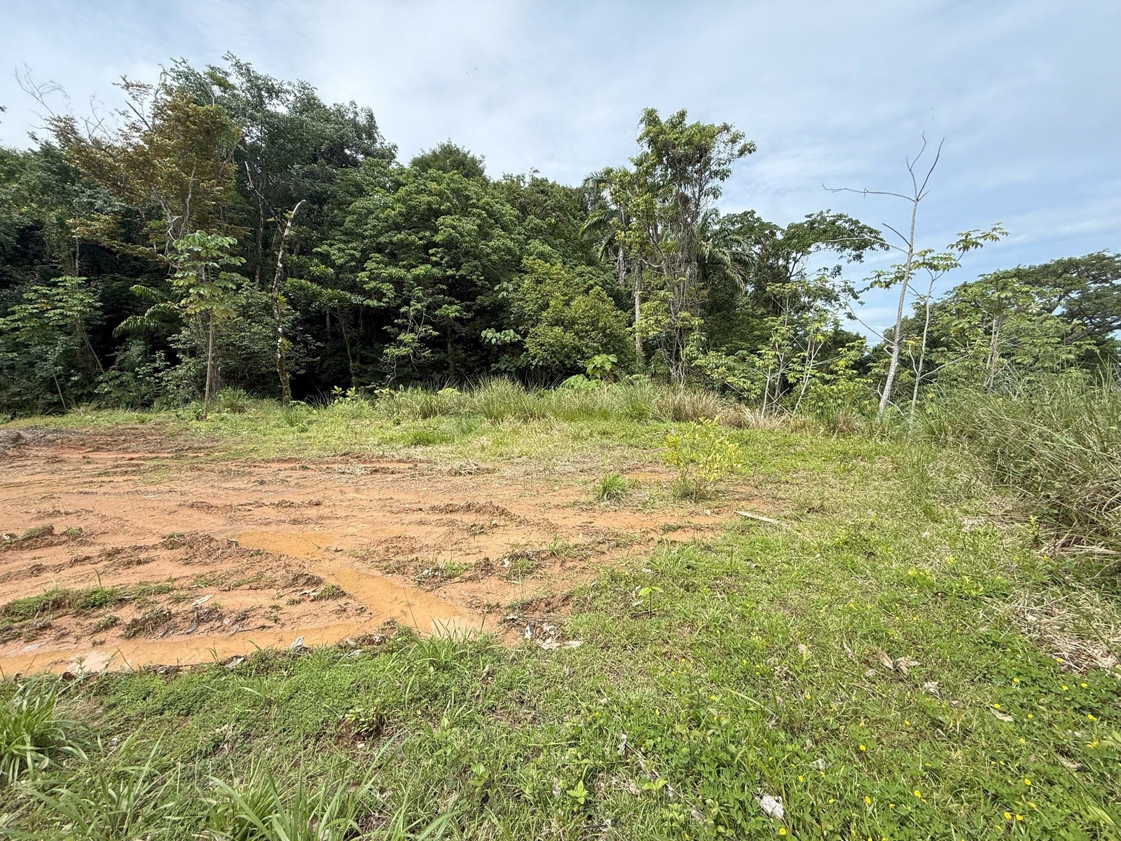 Ocean View Luxury Homesite — photo 15 of 19