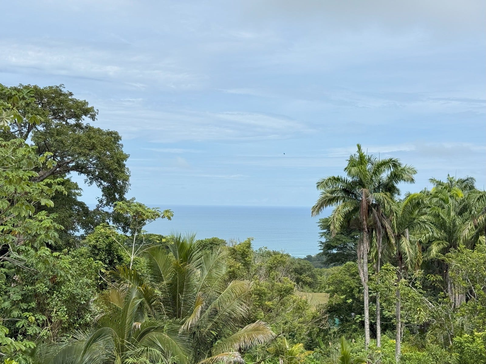 Ocean View Luxury Homesite — photo 2 of 19