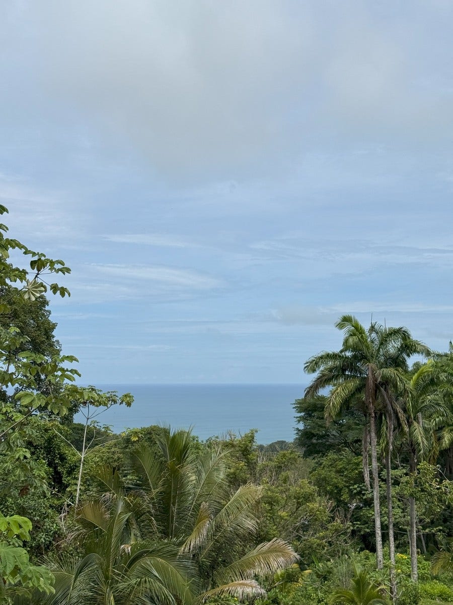 Ocean View Luxury Homesite — photo 6 of 19