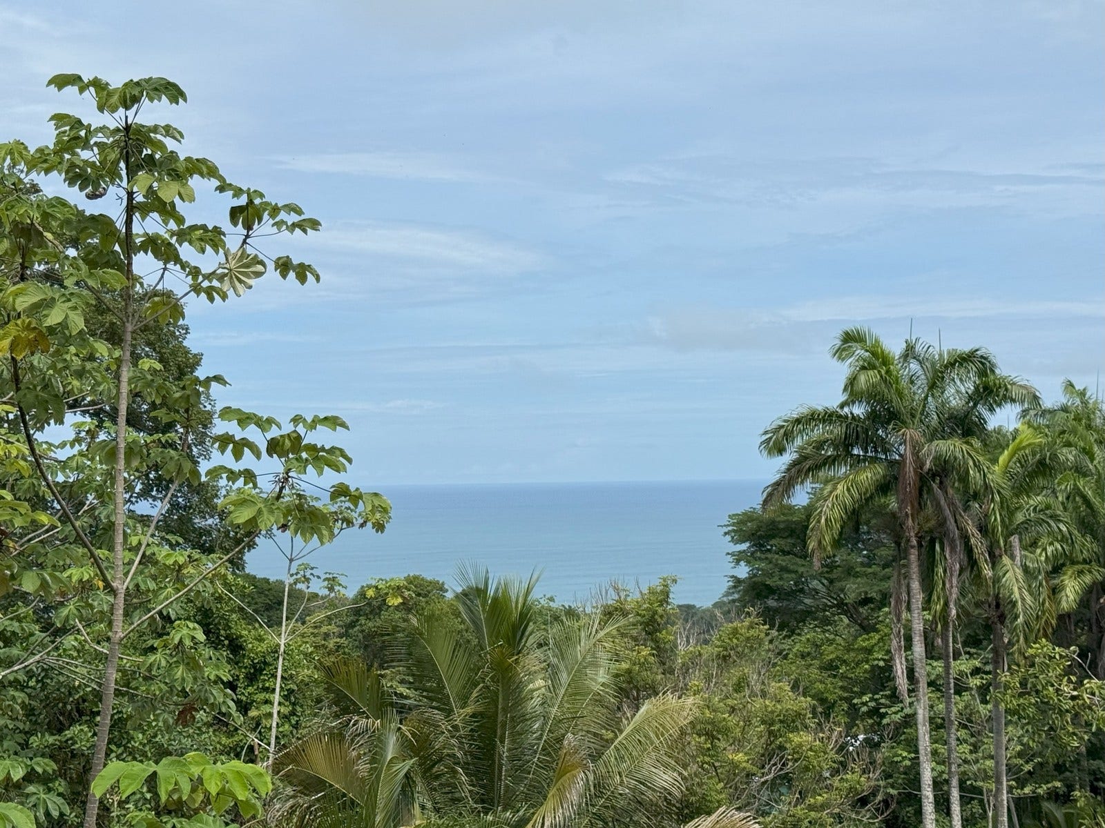 Ocean View Luxury Homesite, Dominicalito, Dominical, Bahia Ballena, Osa, Puntarenas, Costa Rica 11909