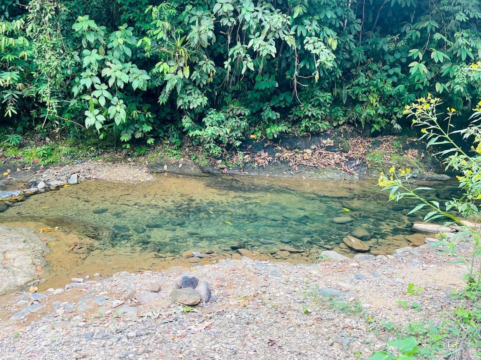 Riverfront Lot In Portalon Priced To Sell, Portalon, Manuel Antonio, Savegre, Quepos, Puntarenas, Costa Rica 60601, Portalon