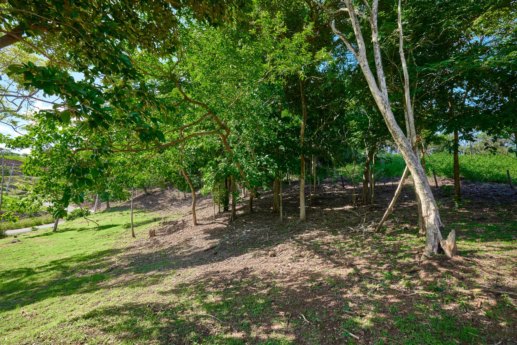 Elevated Lot in Boutique Gated Community — photo 2 of 7