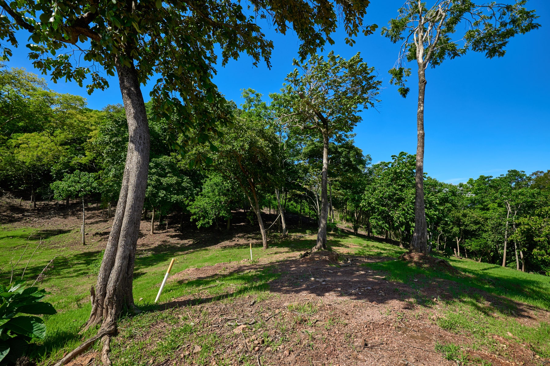 Elevated Lot in Boutique Gated Community — photo 6 of 7