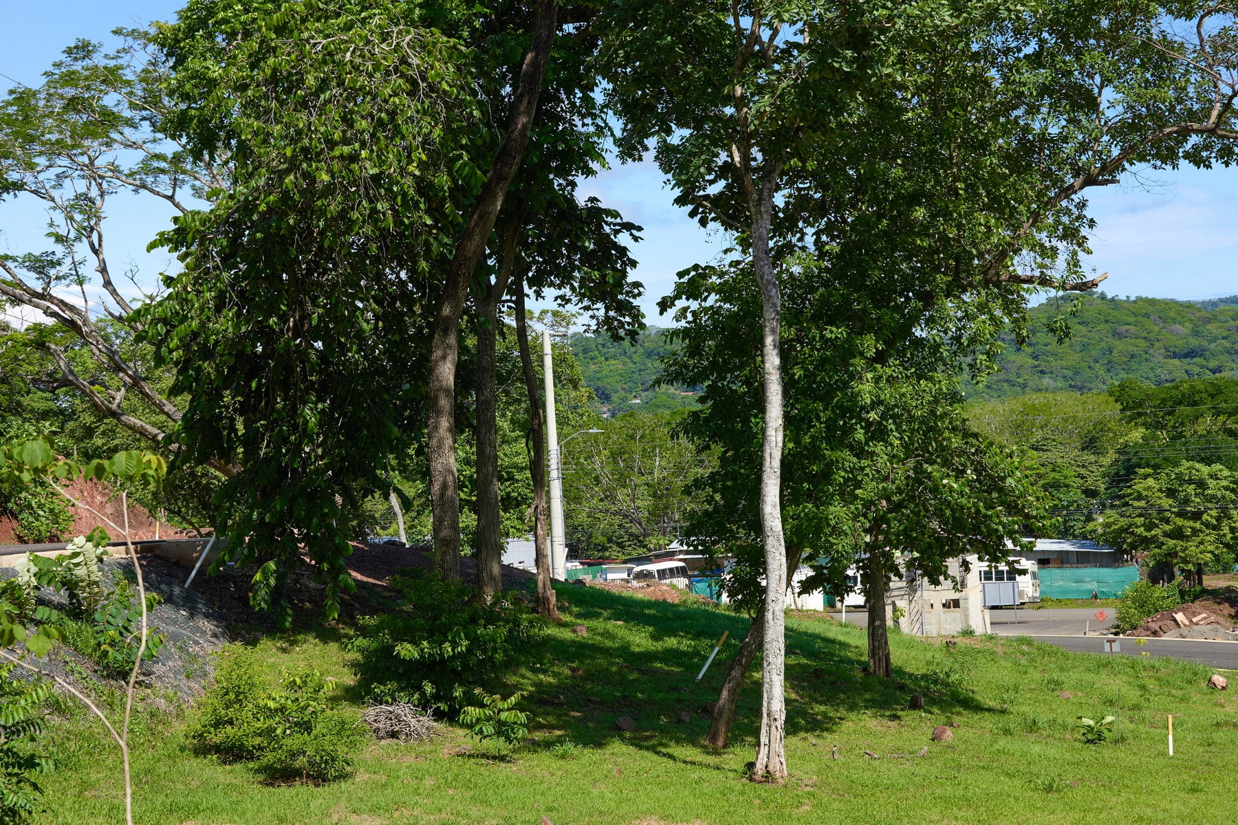 Secure Lot in Family Community — photo 3 of 11