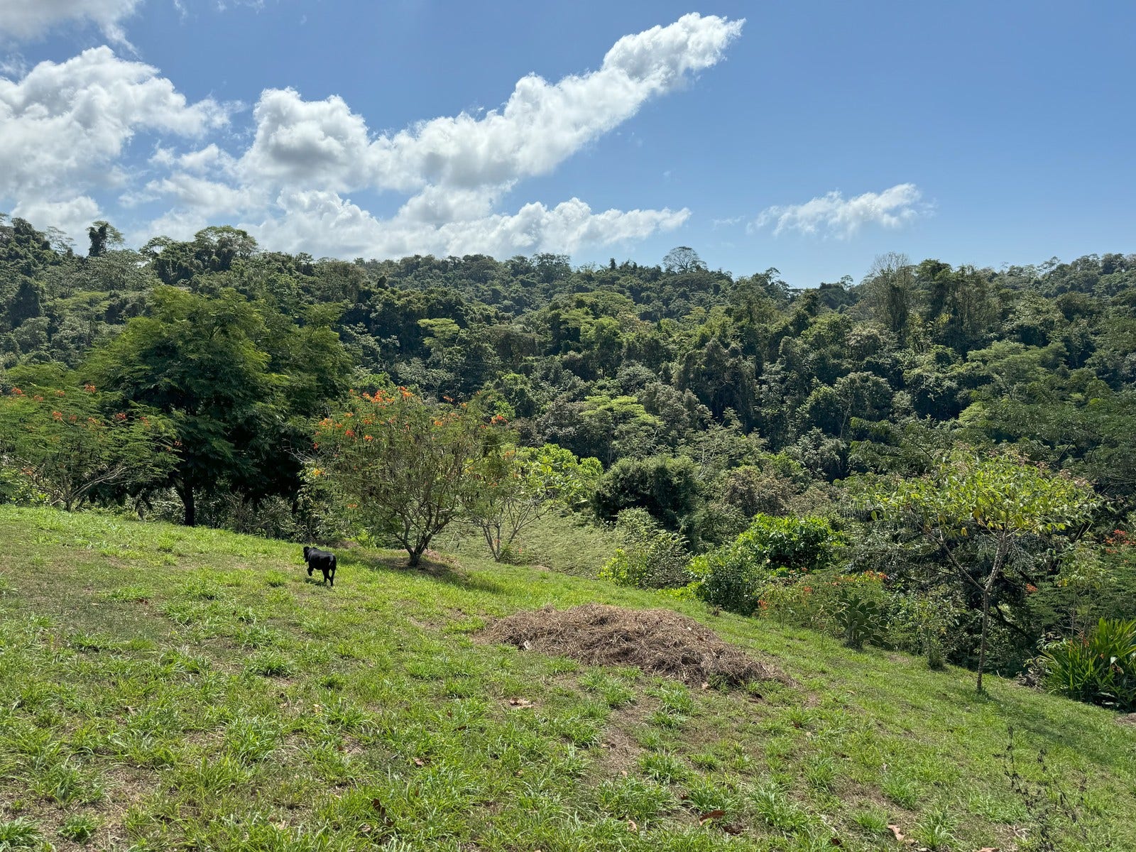 Gorgeous Property With Two Houses — photo 2 of 19