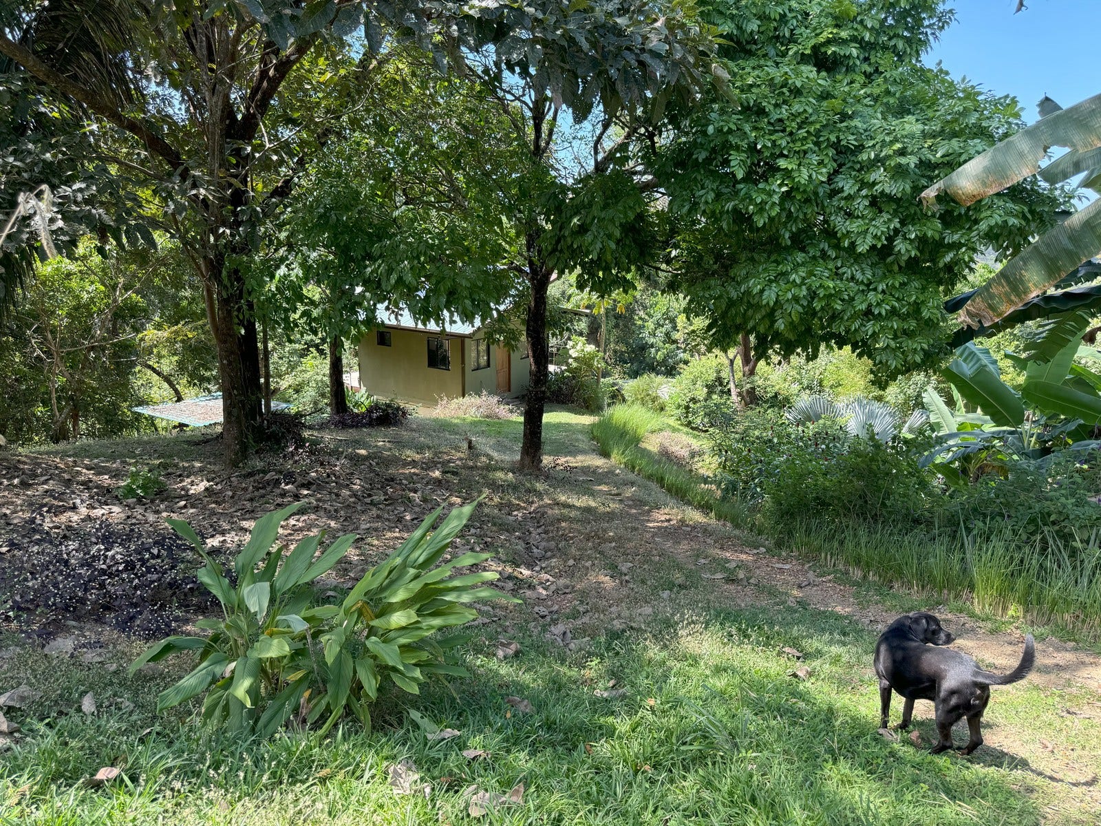 Gorgeous Property With Two Houses — photo 5 of 19