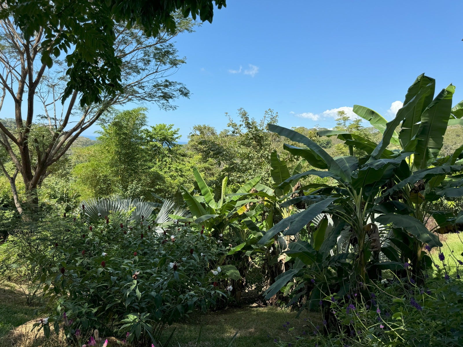 Gorgeous Property With Two Houses — photo 6 of 19