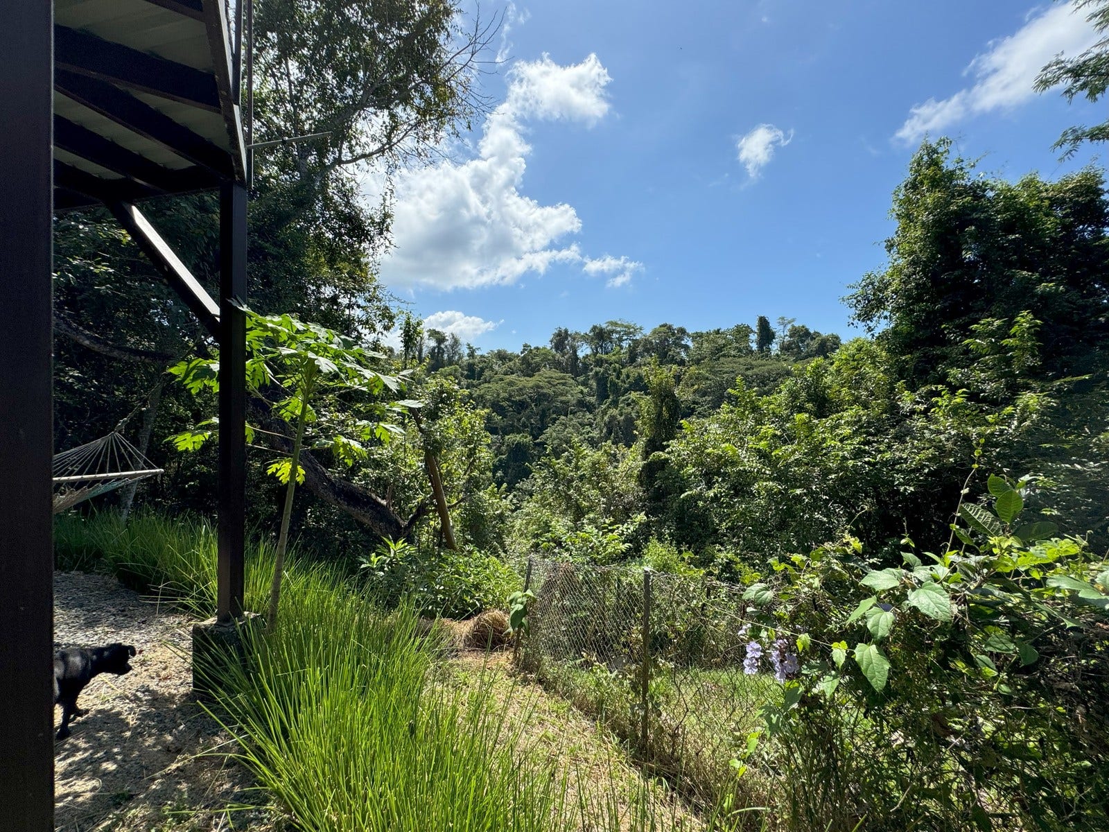 Gorgeous Property With Two Houses — photo 10 of 19