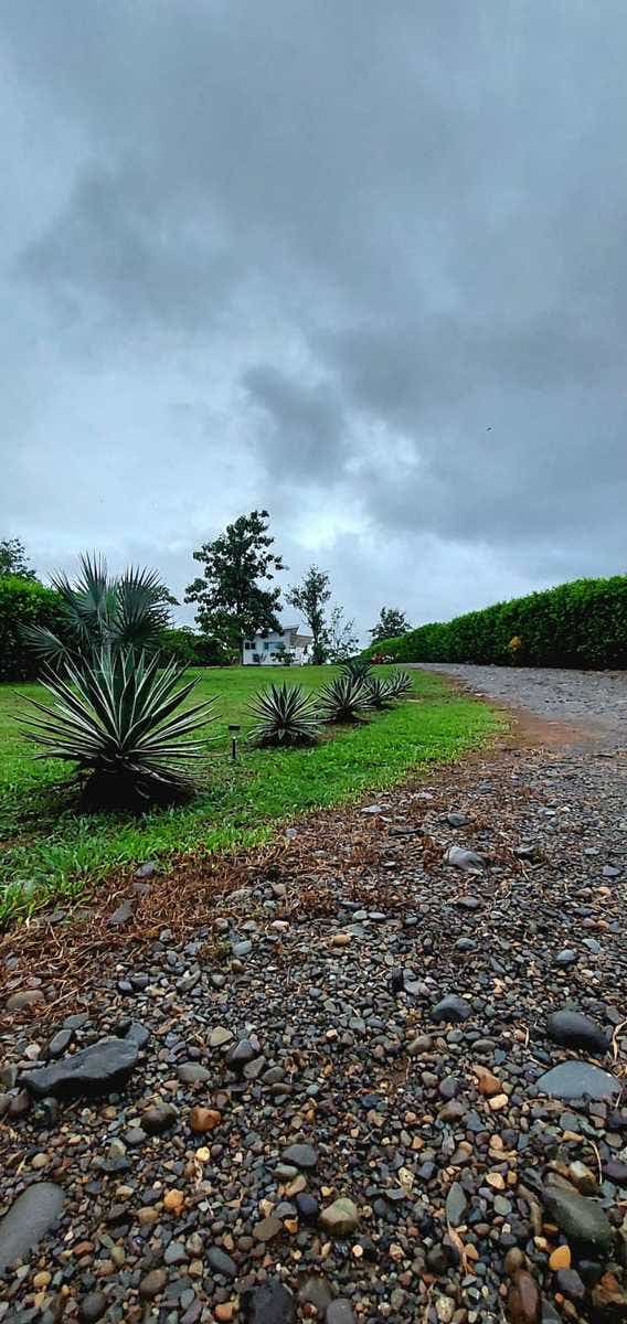 New Construction Large Lot Near Quepos — photo 15 of 16