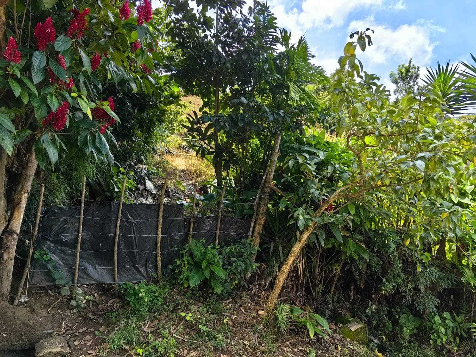 Mountain and City View Lot, Escazu, San Antonio, Escazu, San Jose, Costa Rica
