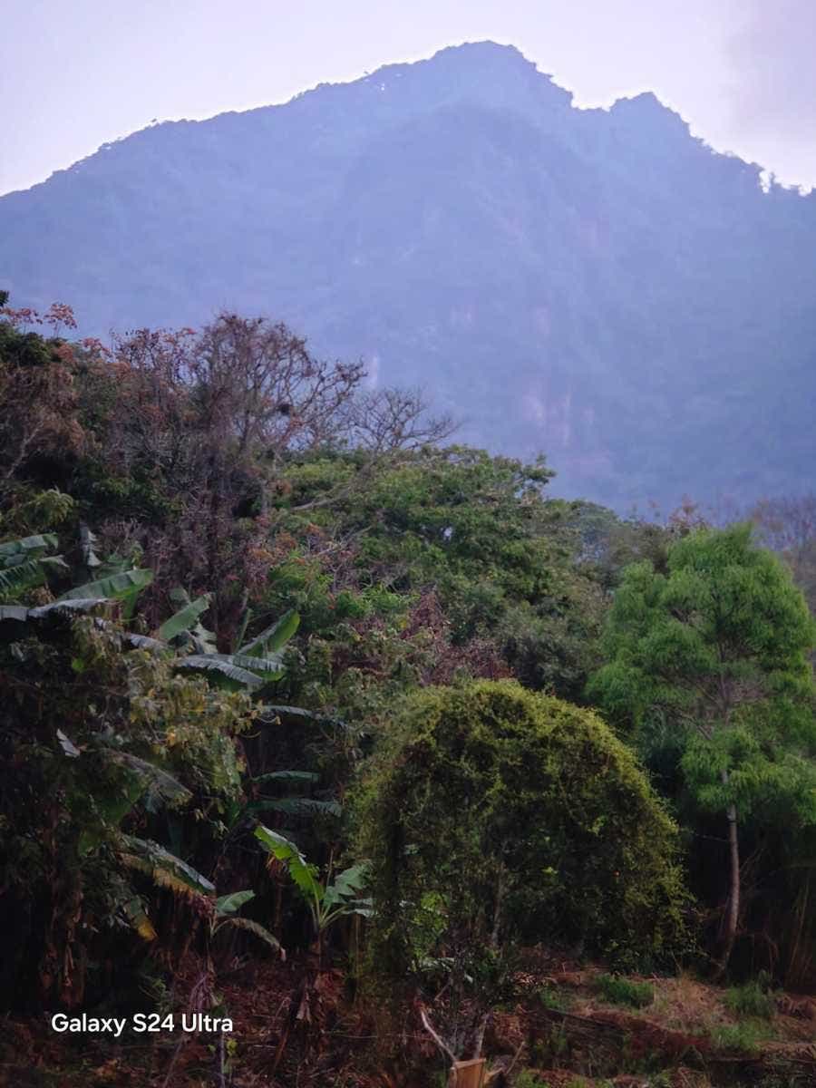 Mountain and City View Lot — foto 4 de 14