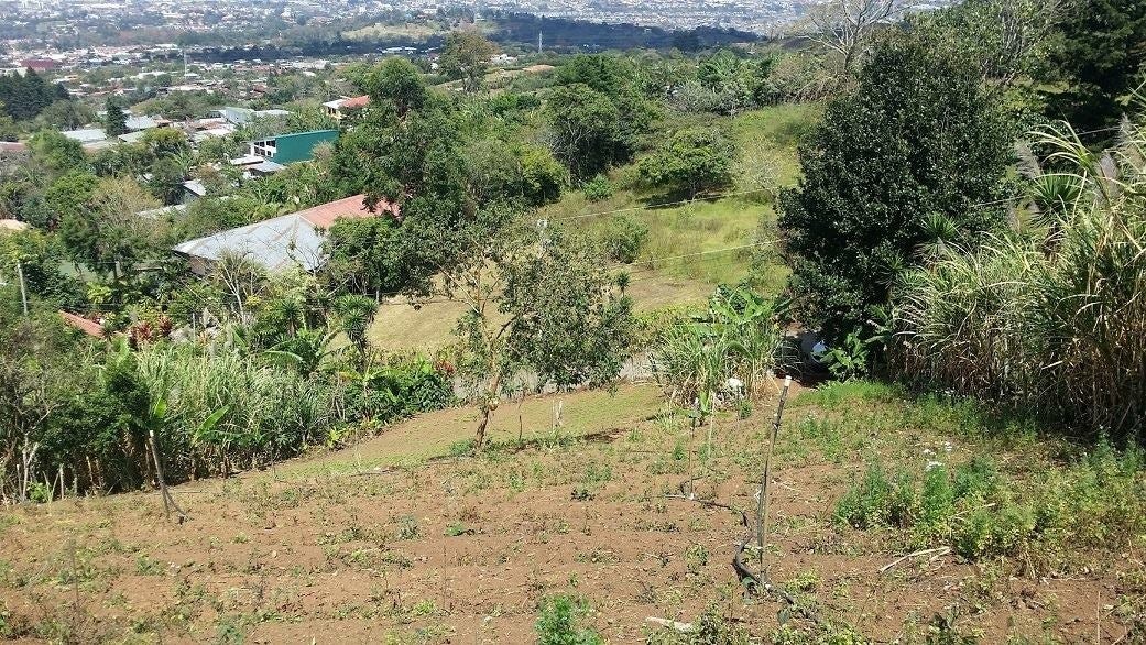 Mountain and City View Lot — foto 8 de 14