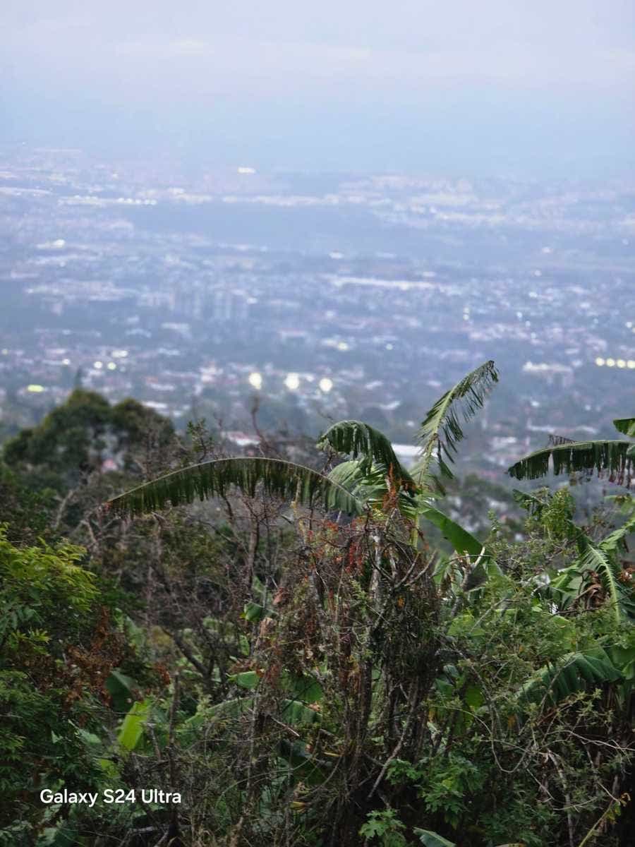 Mountain and City View Lot — foto 14 de 14