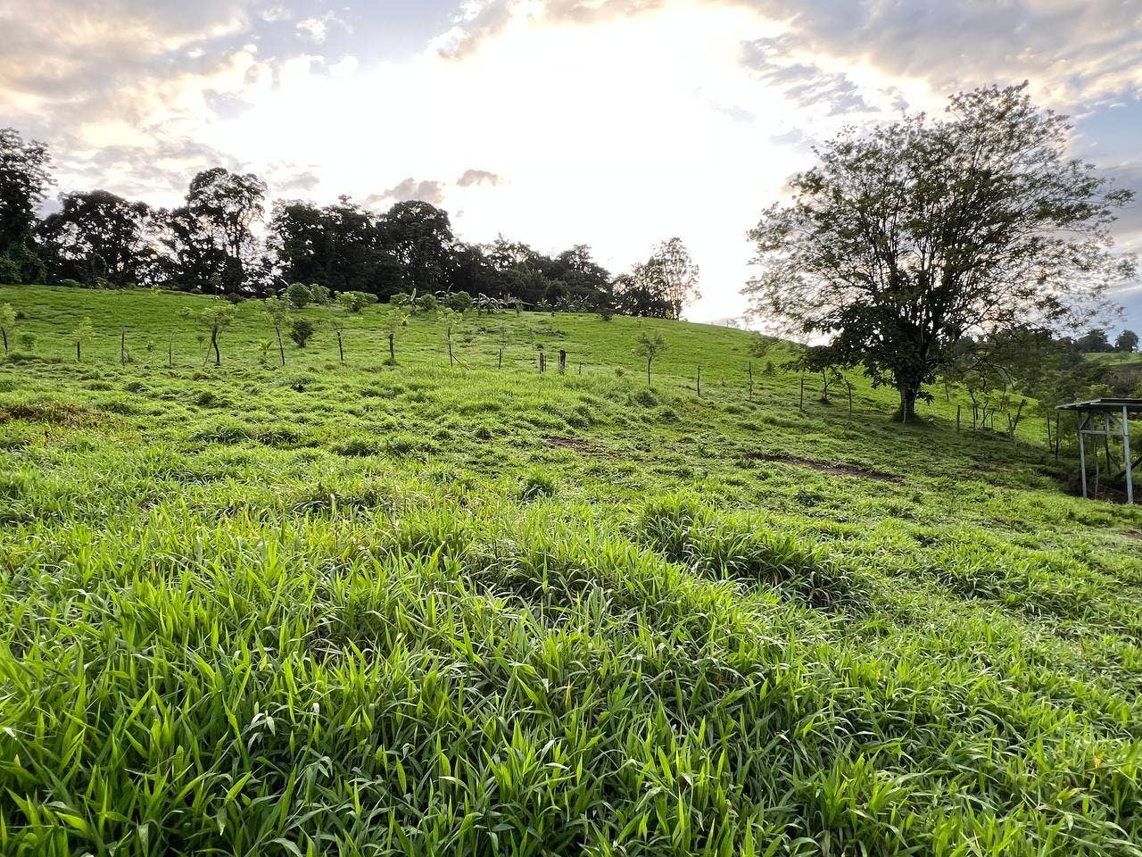 Spacious Lake Arenal-View Lot, Tilaran, Arenal, Tilaran, Guanacaste, Costa Rica 50807 — photo 4 of 5
