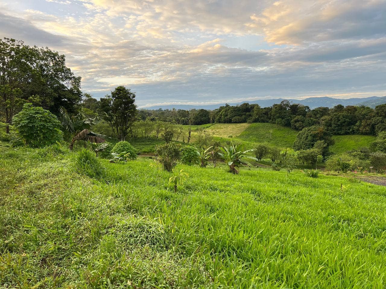 Spacious Lake Arenal-View Lot, Tilaran, Arenal, Tilaran, Guanacaste, Costa Rica 50807 — photo 5 of 5