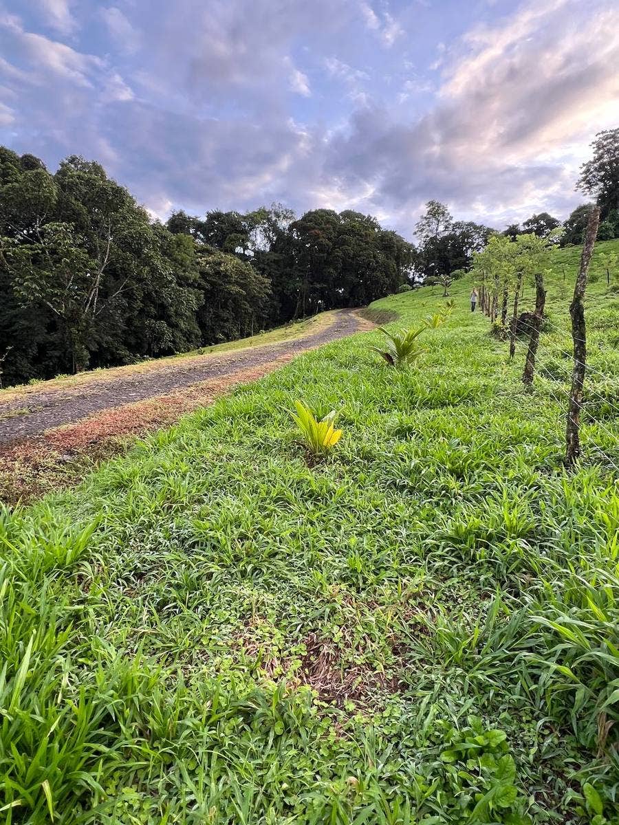 Spacious Lake Arenal-View Lot — photo 10 of 11