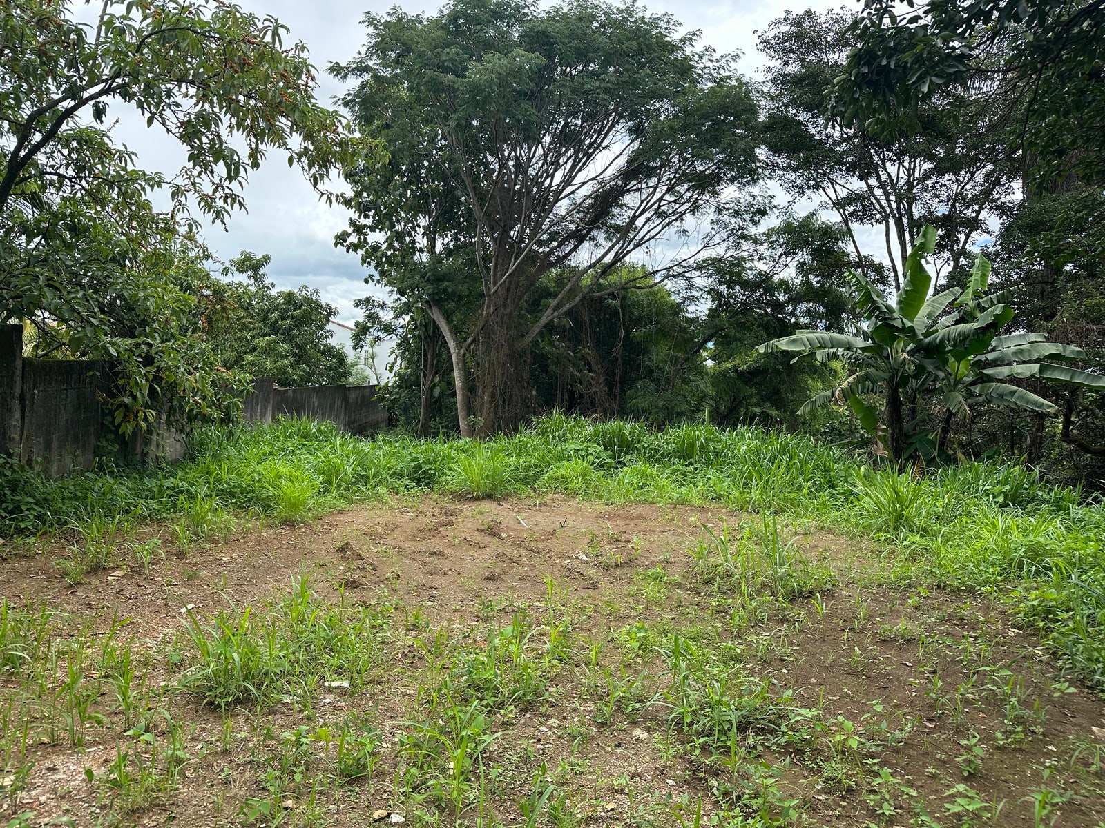 Lot in San Lorenzo — photo 3 of 18
