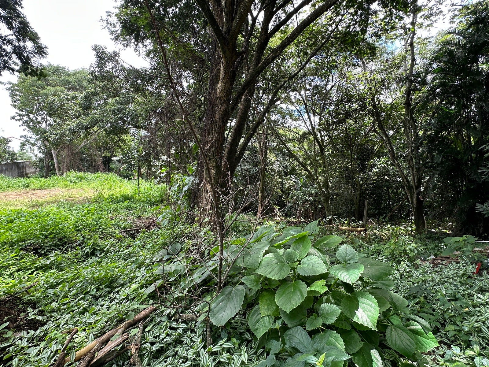 Lot in San Lorenzo, Heredia, Barrantes, Flores, Heredia, Costa Rica 40802