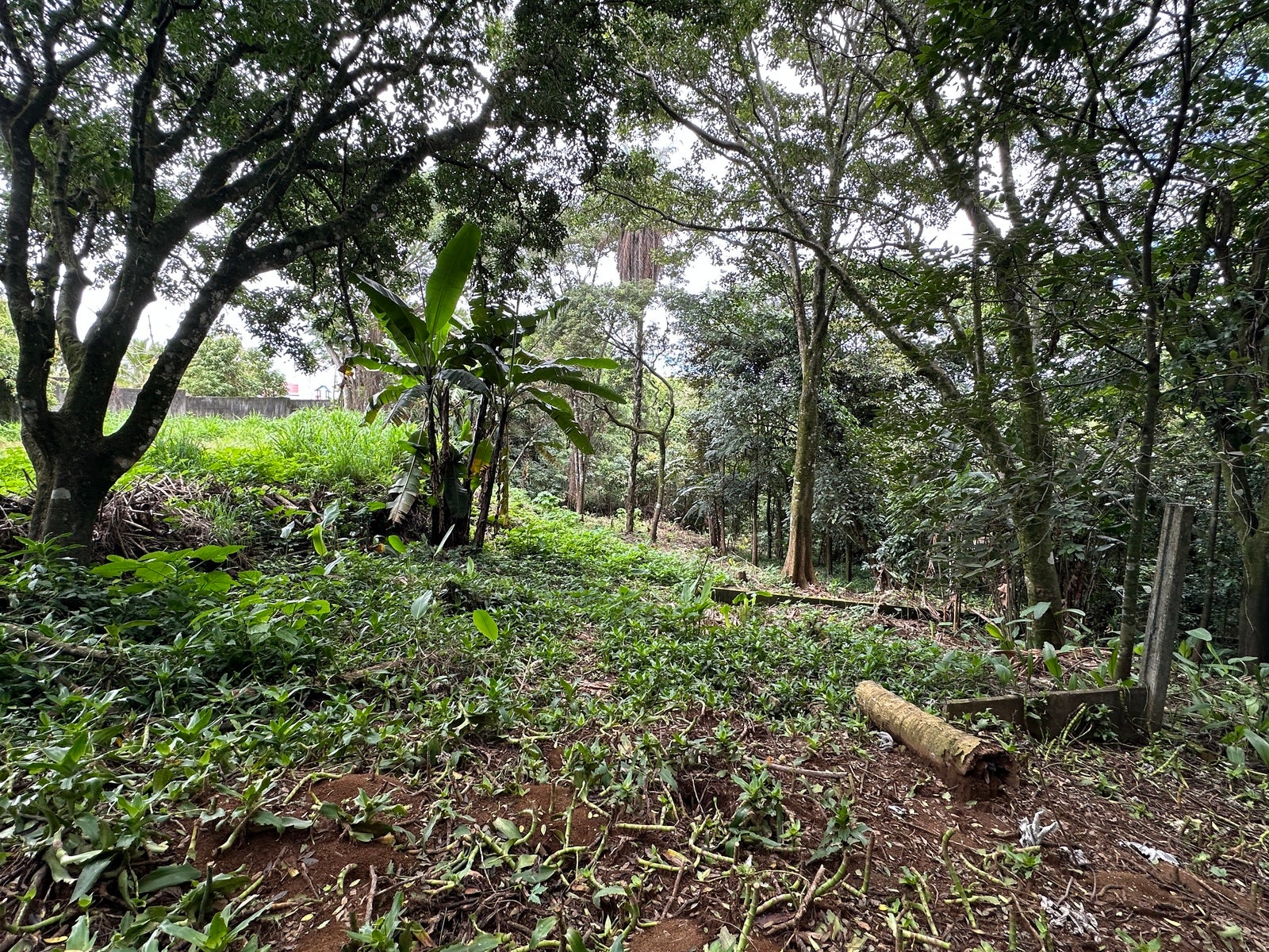 Lot in San Lorenzo — photo 7 of 18