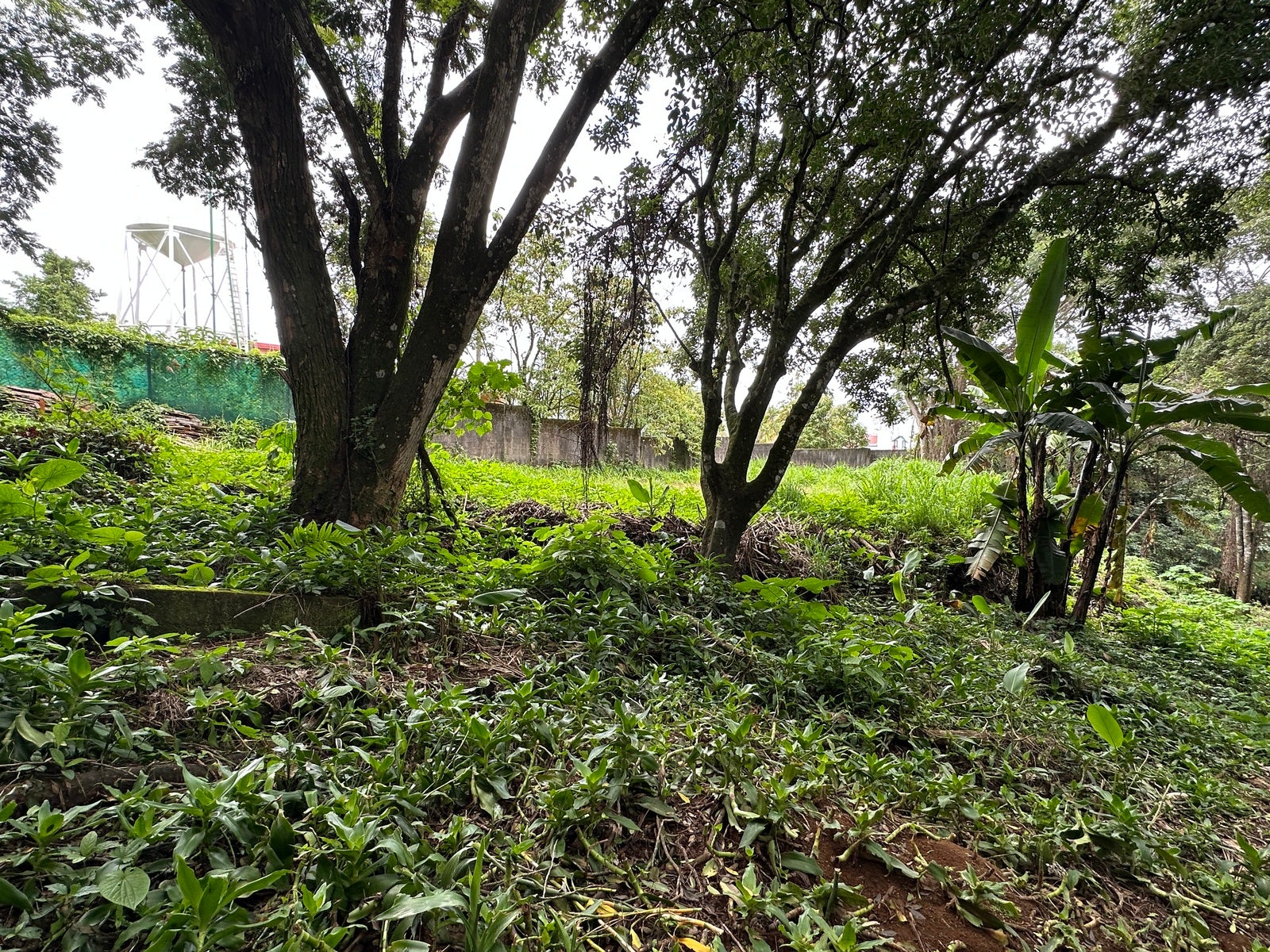 Lot in San Lorenzo — photo 8 of 18