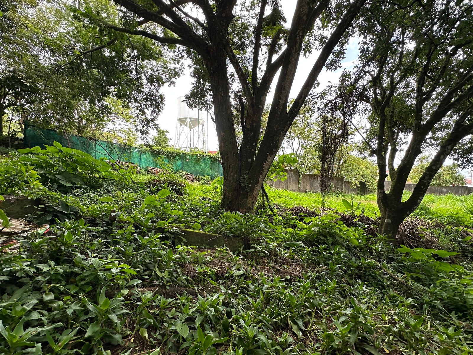 Lot in San Lorenzo — photo 9 of 18