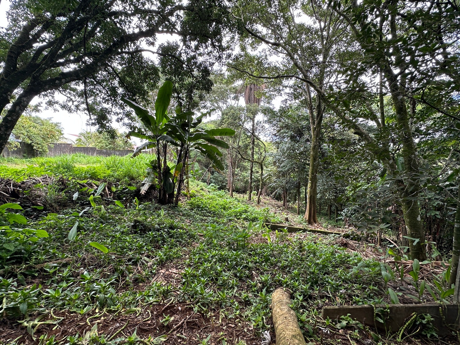 Lot in San Lorenzo — photo 11 of 18