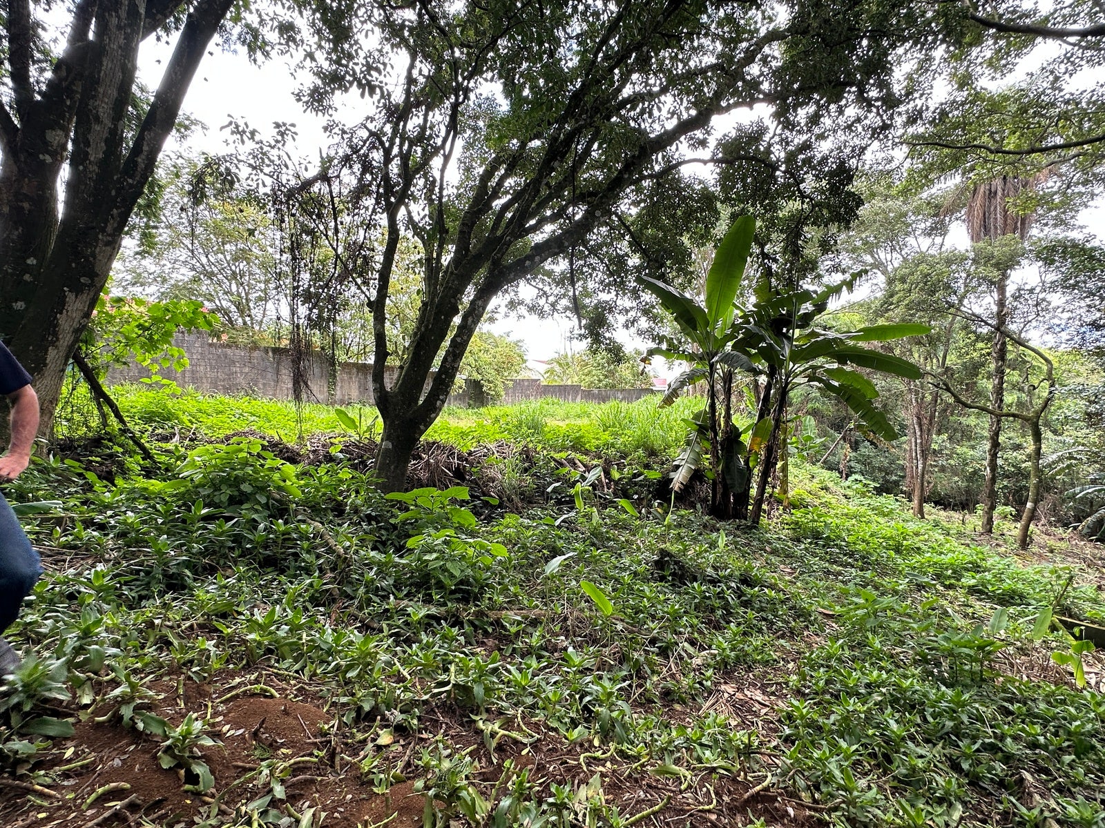 Lot in San Lorenzo — photo 13 of 18