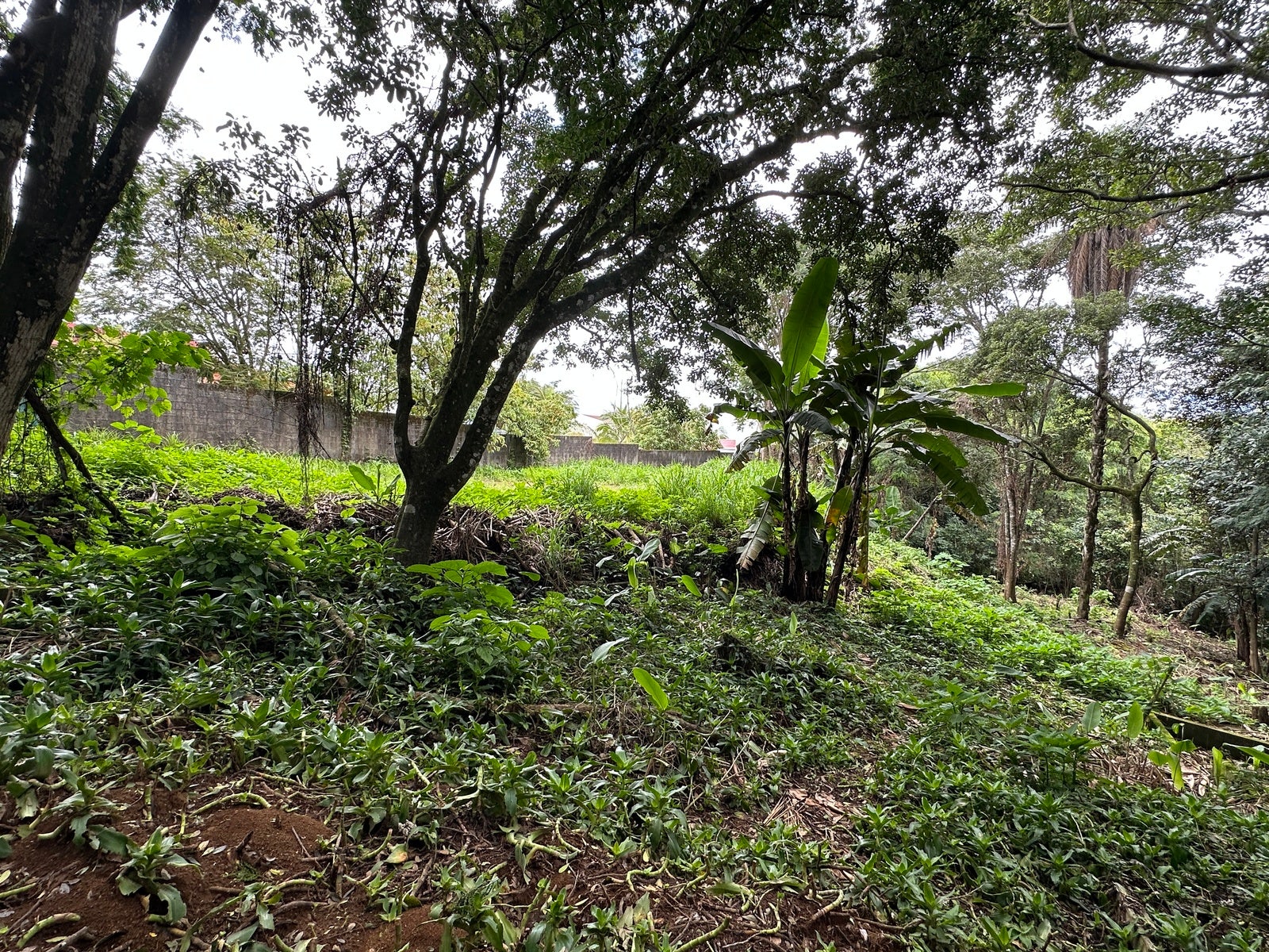Lot in San Lorenzo — photo 14 of 18