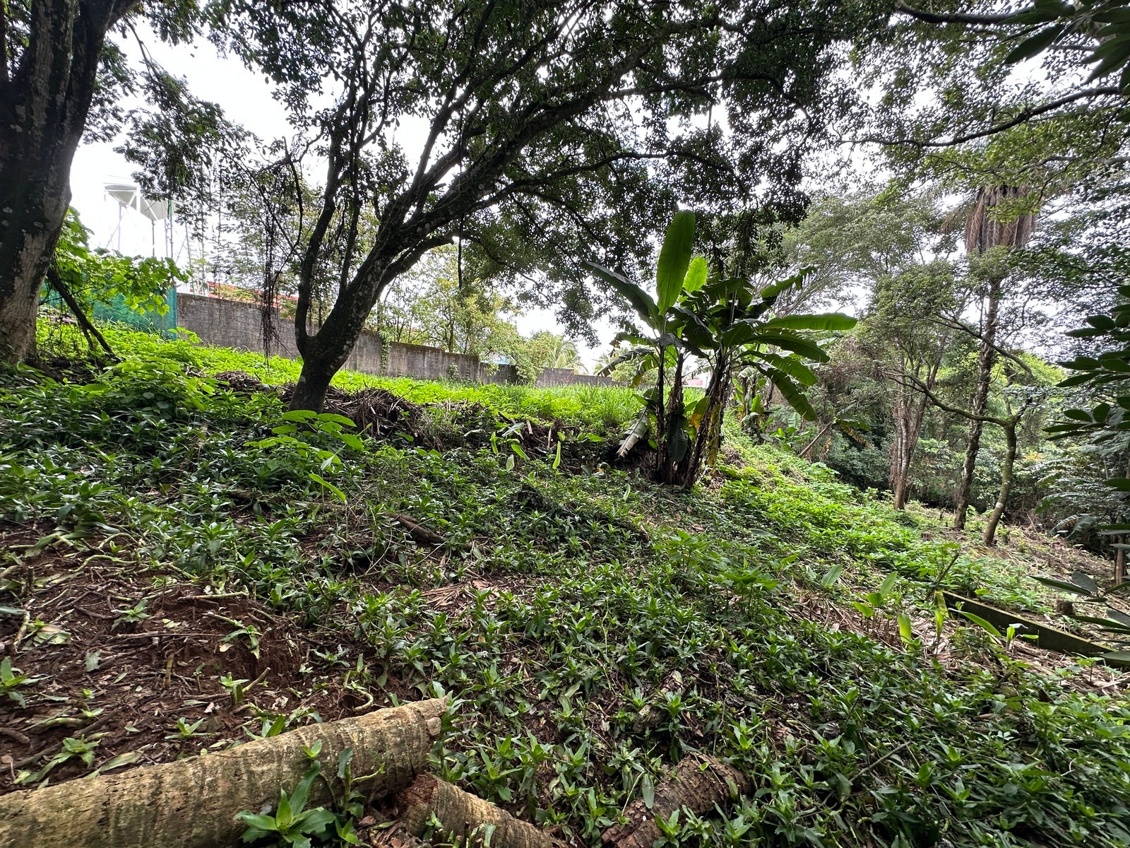 Lot in San Lorenzo — photo 17 of 18