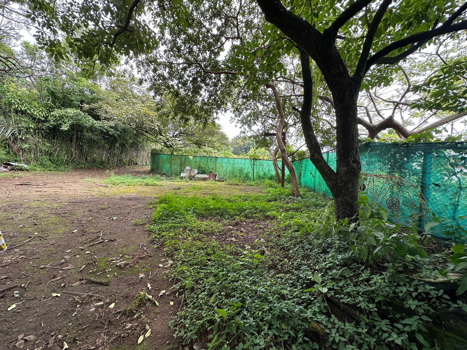 Lot in San Lorenzo — photo 18 of 18