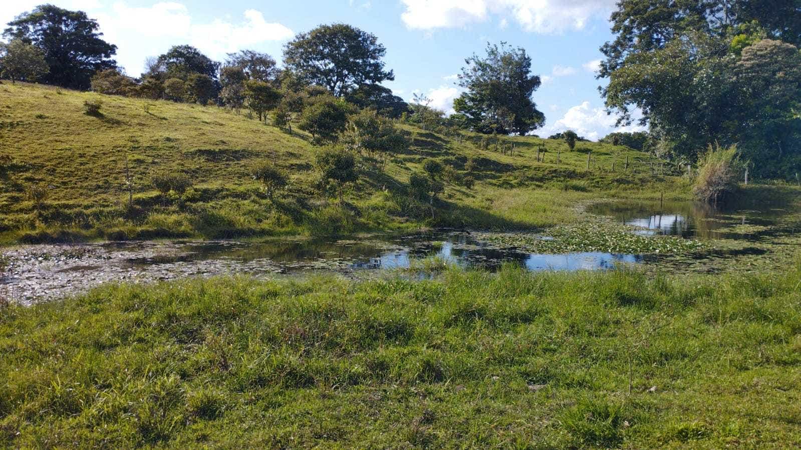 Large Farm Ready To Develop, Nuevo Arenal, Lake Arenal, Arenal, Tilaran, Alajuela, Costa Rica 50807