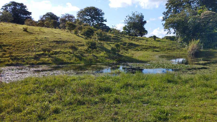 Property photo for Large Farm Ready To Develop, Nuevo Arenal, Lake Arenal, Arenal, Tilaran, Alajuela, Costa Rica
