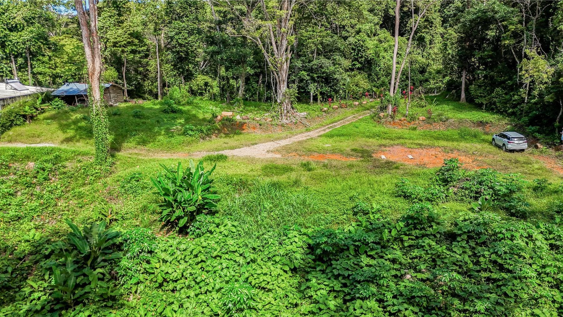 Tropical Forest Lot With Flowing River, Ojochal, Bahia Ballena, Osa, Puntarenas, Costa Rica 60501