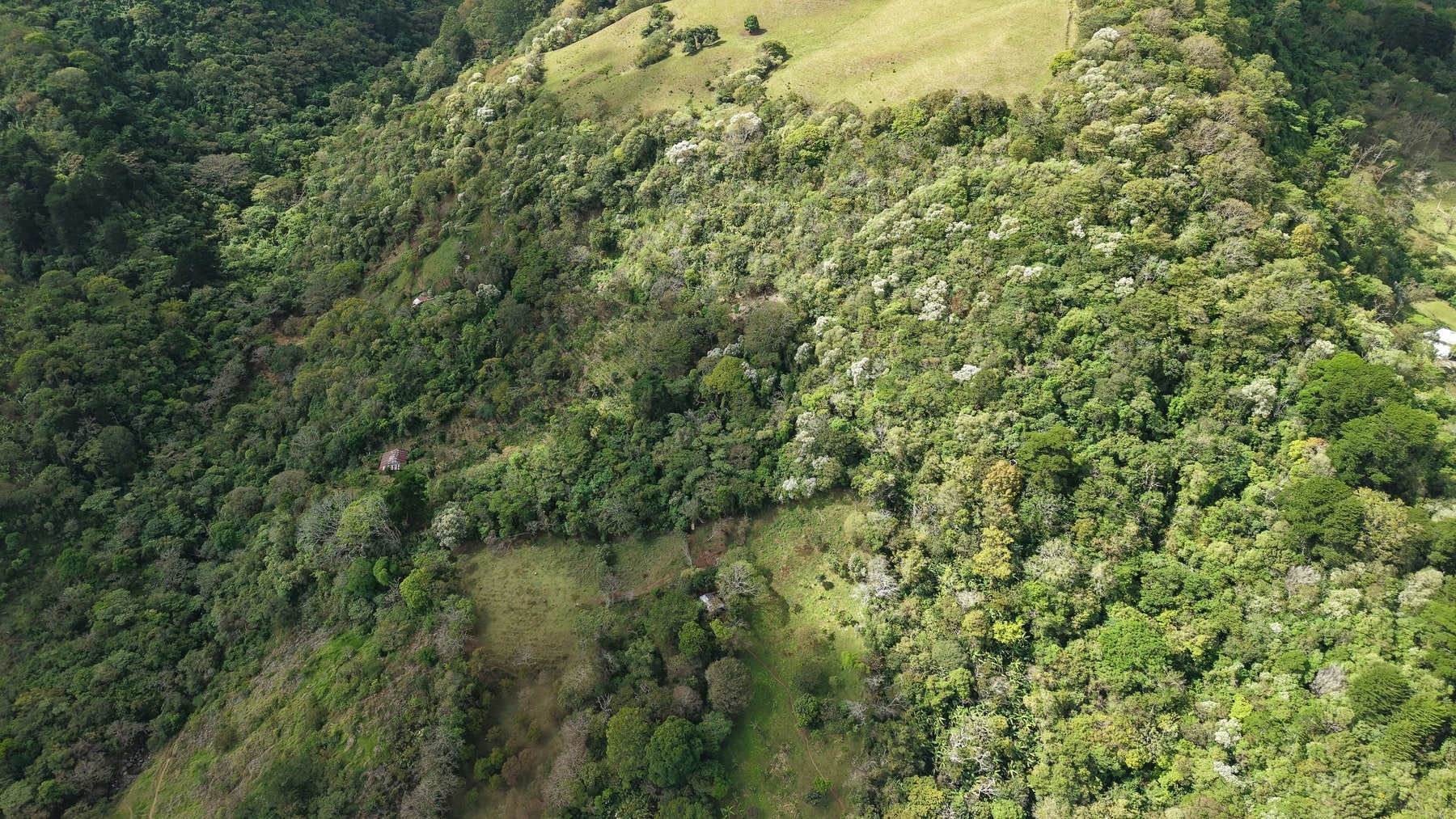 Panoramic View Mountain Serenity Estate — photo 3 of 19