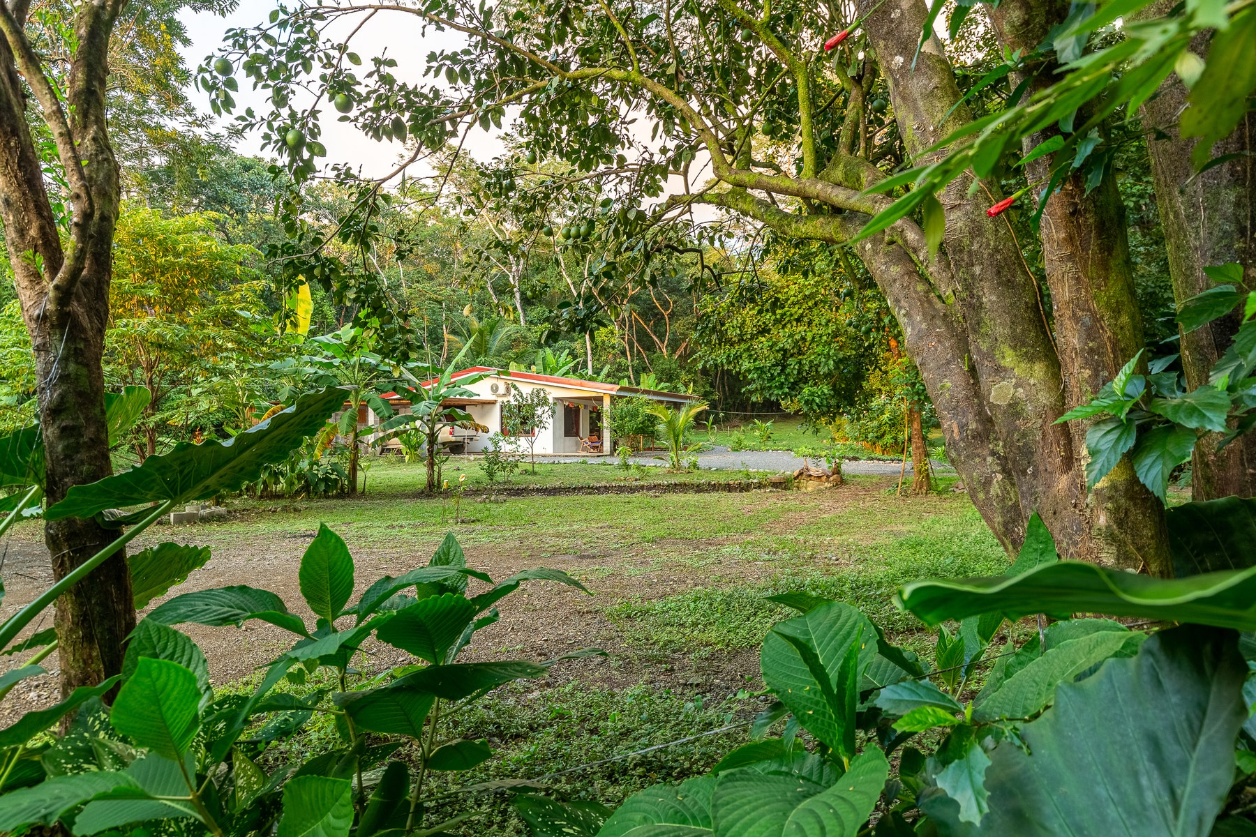 Multi Unit Property with Ocean View and Walk to Beach, Mal Pais, Mal Pais, Santa Teresa, Cobano, Puntarenas, Puntarenas, Costa Rica 60111 Multi Unit Property with Ocean View and Walk to Beach, Mal Pais, Mal Pais, Santa Teresa, Cobano, Puntarenas, Puntarenas, Costa Rica 60111