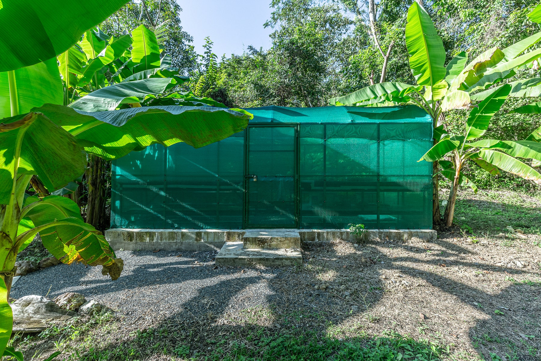 Multi Unit Property with Ocean View and Walk to Beach, Mal Pais, Mal Pais, Santa Teresa, Cobano, Puntarenas, Puntarenas, Costa Rica 60111 Multi Unit Property with Ocean View and Walk to Beach, Mal Pais, Mal Pais, Santa Teresa, Cobano, Puntarenas, Puntarenas, Costa Rica 60111