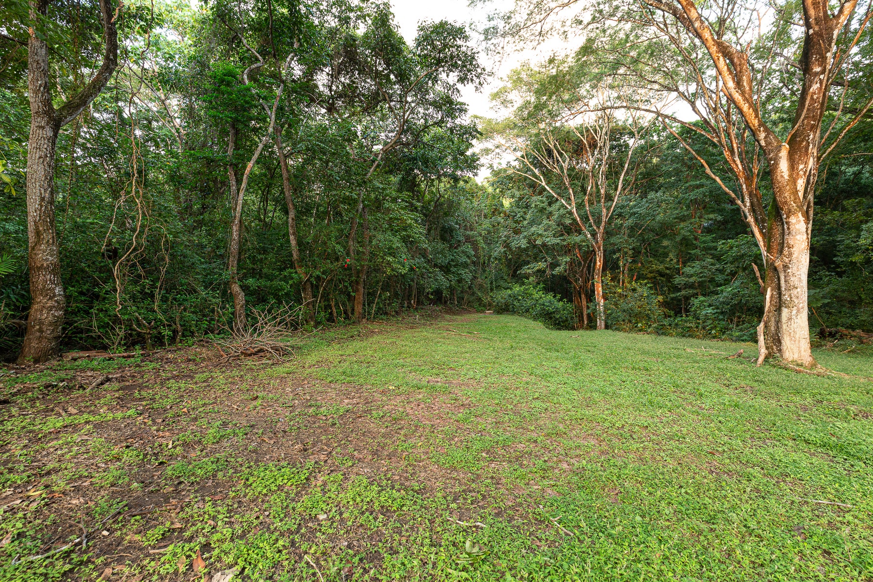 Multi Unit Property with Ocean View and Walk to Beach, Mal Pais, Mal Pais, Santa Teresa, Cobano, Puntarenas, Puntarenas, Costa Rica 60111 Multi Unit Property with Ocean View and Walk to Beach, Mal Pais, Mal Pais, Santa Teresa, Cobano, Puntarenas, Puntarenas, Costa Rica 60111