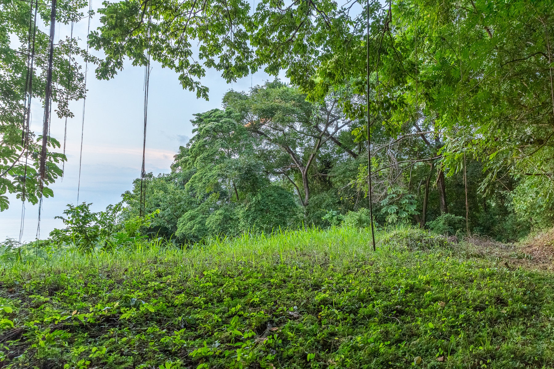 Multi Unit Property with Ocean View and Walk to Beach, Mal Pais, Mal Pais, Santa Teresa, Cobano, Puntarenas, Puntarenas, Costa Rica 60111 Multi Unit Property with Ocean View and Walk to Beach, Mal Pais, Mal Pais, Santa Teresa, Cobano, Puntarenas, Puntarenas, Costa Rica 60111
