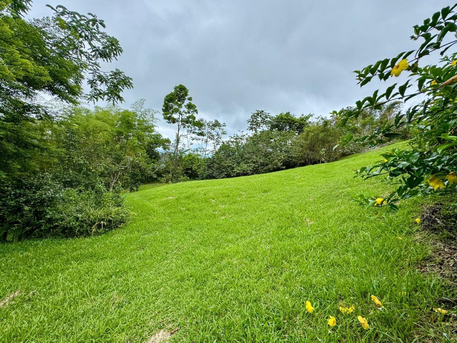 Two Bedroom Off Grid Home Plus Two Guest Cabins, Tinamastes, Perez Zeledon, Baru, Perez Zeledon, San Jose, Costa Rica 11909, Tinamastes