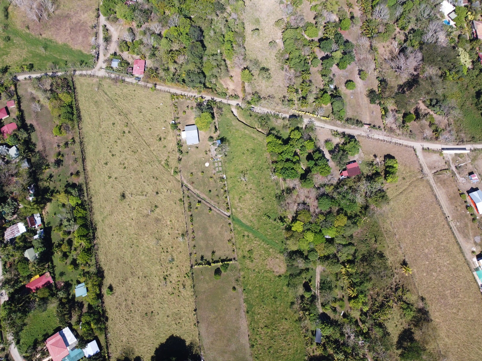 Large Private and Peaceful Lot — photo 4 of 7