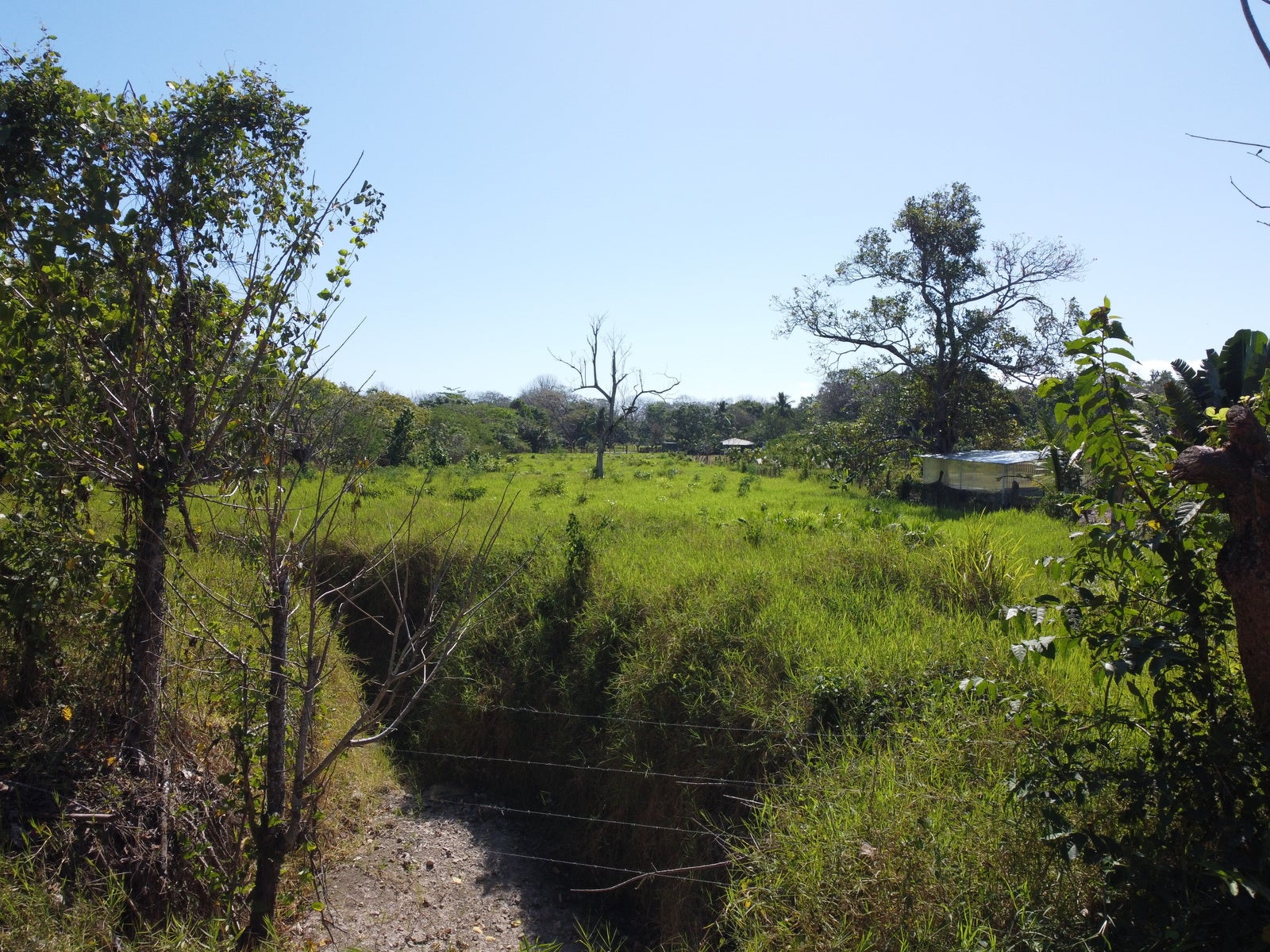 Large Private and Peaceful Lot — photo 3 of 7