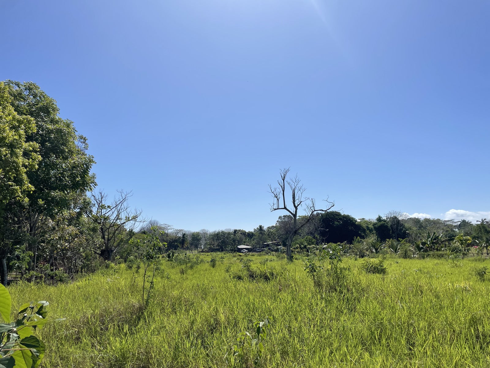 Large Private and Peaceful Lot — photo 7 of 7