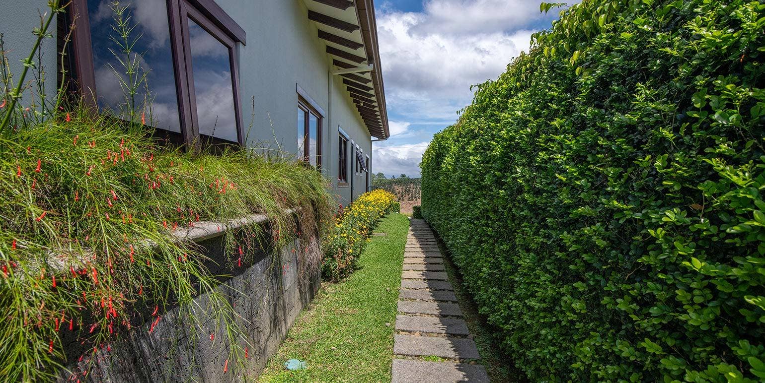 Hacienda el Gregal, Community  Luxury and Elegant — photo 10 of 19
