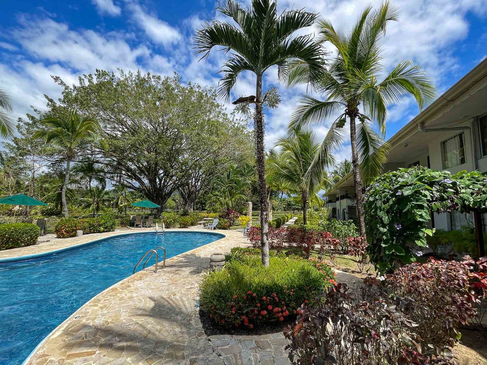 Nature Retreat Condo — photo 2 of 19