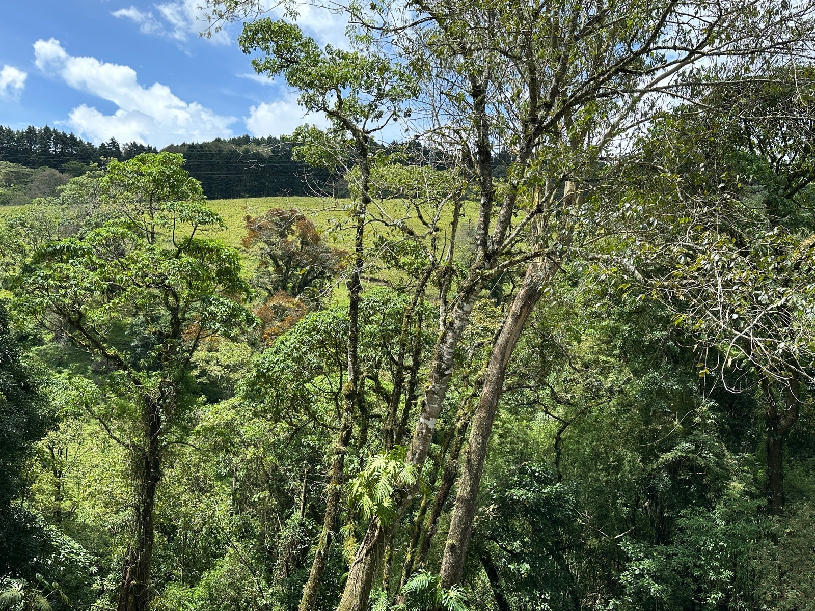 Amazing Lots in the Mountains of Tres Rios, Cartago Central, San Ramon, La Union, Cartago, Costa Rica 20201
