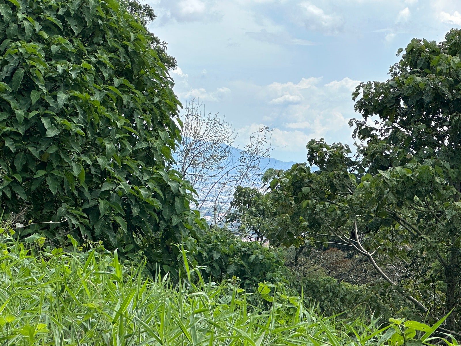 Amazing Lots in the Mountains of Tres Rios, Cartago Central, San Ramon, La Union, Cartago, Costa Rica 20201 — photo 3 of 5