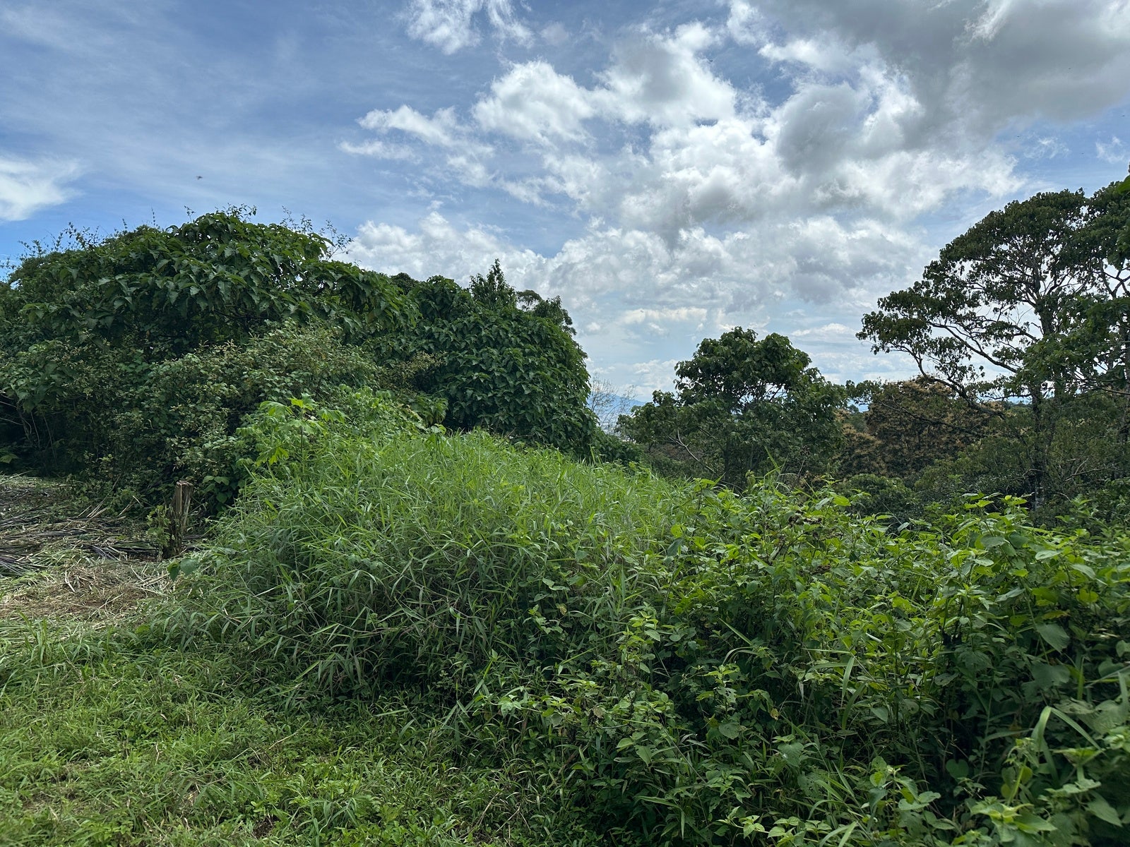 Amazing Lots in the Mountains of Tres Rios, Cartago Central, San Ramon, La Union, Cartago, Costa Rica 20201 — photo 4 of 5