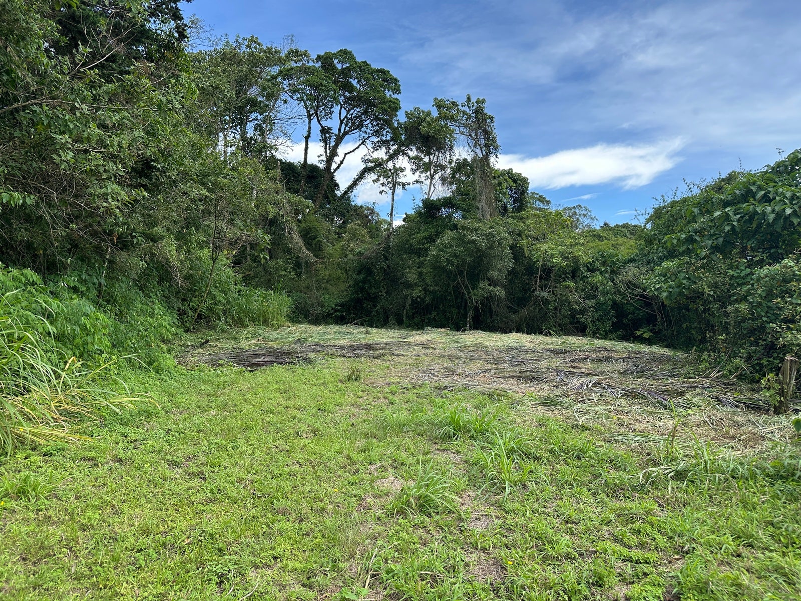 Amazing Lots in the Mountains of Tres Rios, Cartago Central, San Ramon, La Union, Cartago, Costa Rica 20201 — photo 5 of 5