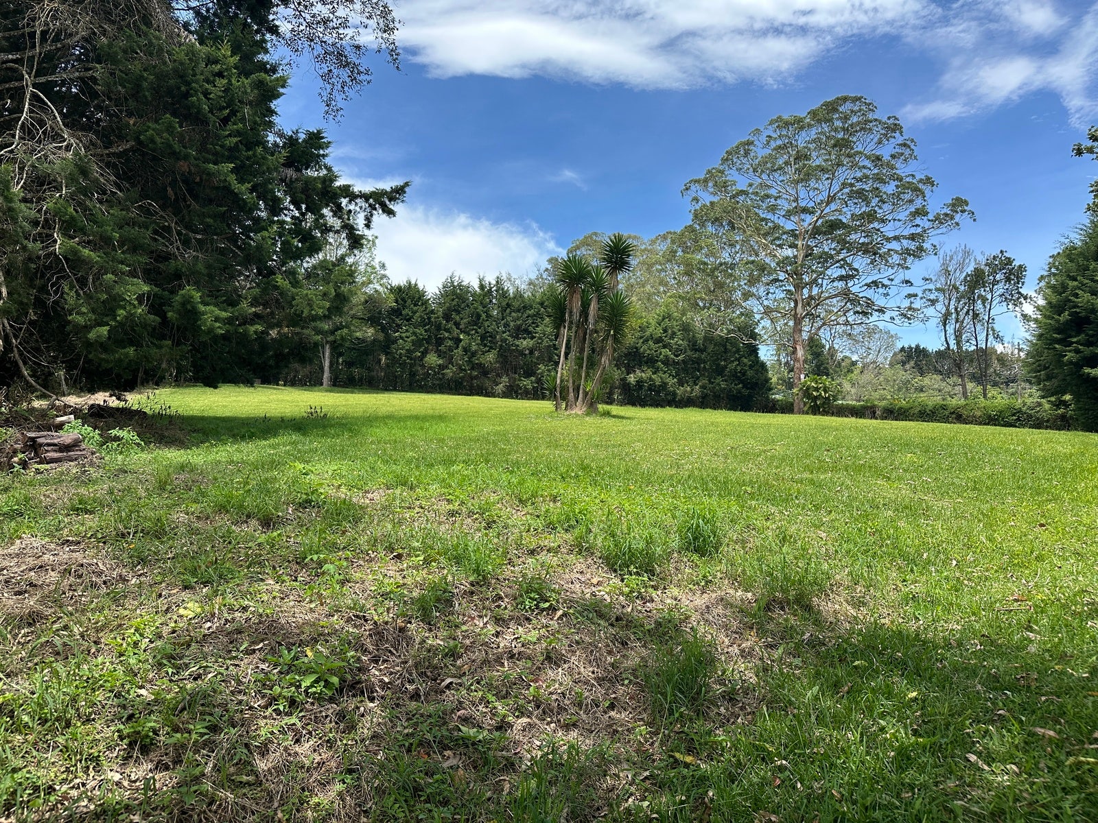 Amazing Lots in the Mountains of Tres Rios — photo 6 of 7